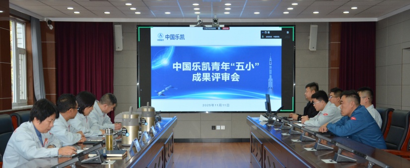 激揚(yáng)青春智造力！中國樂凱團(tuán)委召開青年&ldquo;五小&rdquo;成果評(píng)審會(huì)
